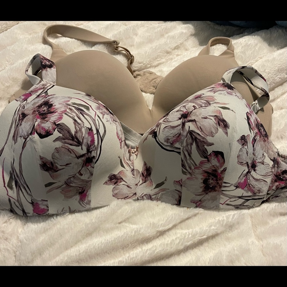 Lane  Bryant bras